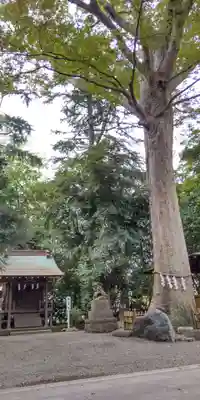 前鳥神社(神奈川県)