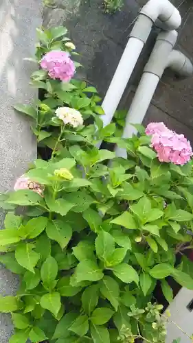 鼻黒稲荷大明神の自然