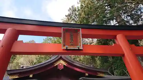 箱根神社の鳥居