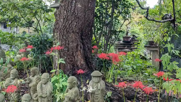 常泉寺(神奈川県)