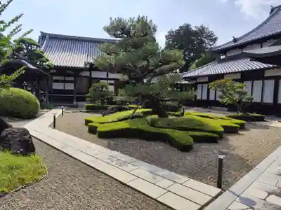 酒見寺(兵庫県)