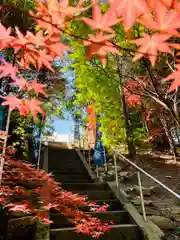 滑川神社 - 仕事と子どもの守り神の自然