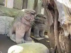 麻布氷川神社の狛犬