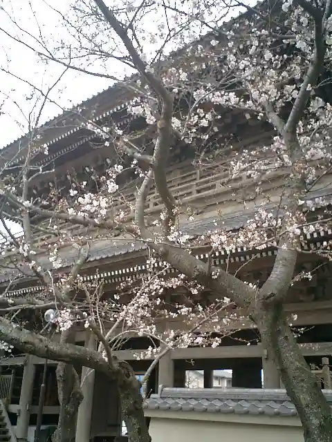 光明寺の山門・神門