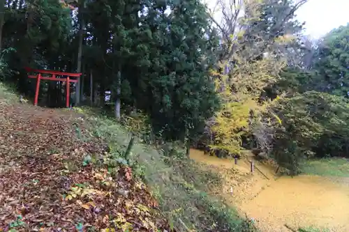 乙宿禰神社の鳥居