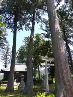 白山神社の{uncategorized: "未分類", other: "その他", undefined: "問題あり", building: "その他建物", grave: "お墓", sacred_gate: "鳥居", guardian: "狛犬", statue: "像", buddha: "仏像", history: "歴史", nature: "自然", garden: "庭園", animal: "動物", pagoda: "塔", temizu: "手水舎", mountain_gate: "山門・神門", sanctuary: "本殿・本堂", subordinate: "末社・摂社", art: "芸術", scenery: "景色", jizo: "地蔵", ema: "絵馬", goshuin: "御朱印", omikuji: "おみくじ", items: "授与品その他", amulet: "お守り", goshuincho: "御朱印帳", eats: "食事", festival: "お祭り", votive_dance: "神楽", shichigosan: "七五三参", wedding: "結婚式", experience: "体験その他", initially: "初詣", around: "周辺", anti_infection: "感染症対策"}