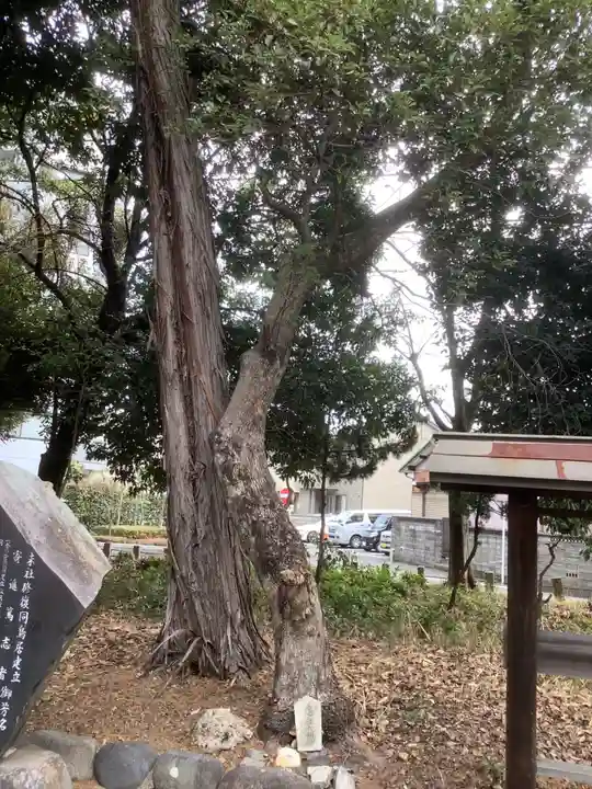 八幡社(柏井町)の末社・摂社