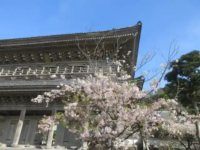 光明寺の山門・神門