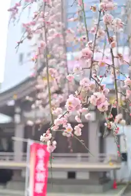 柏神社(千葉県)