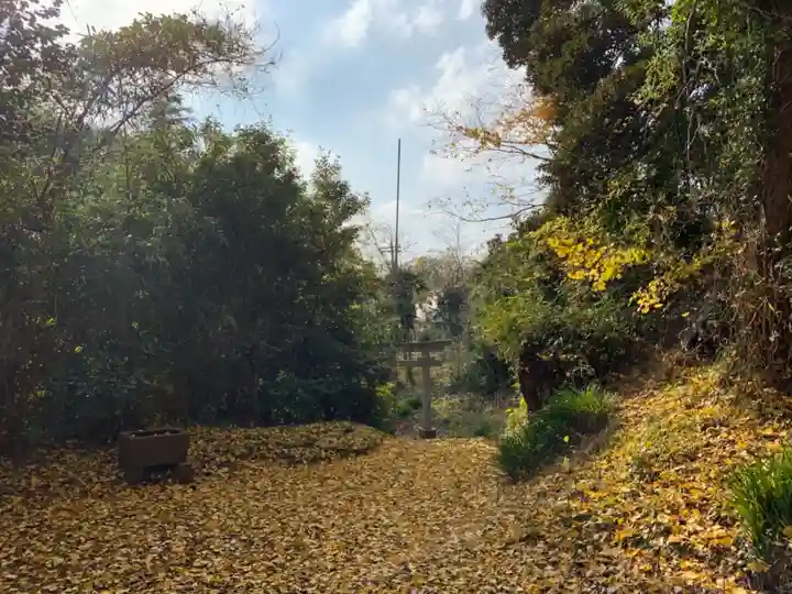 天津日神社の周辺