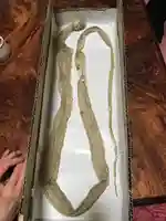 水原の一心さん(新潟県)