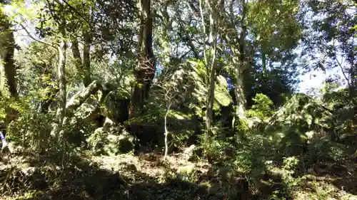 阿波々神社の自然