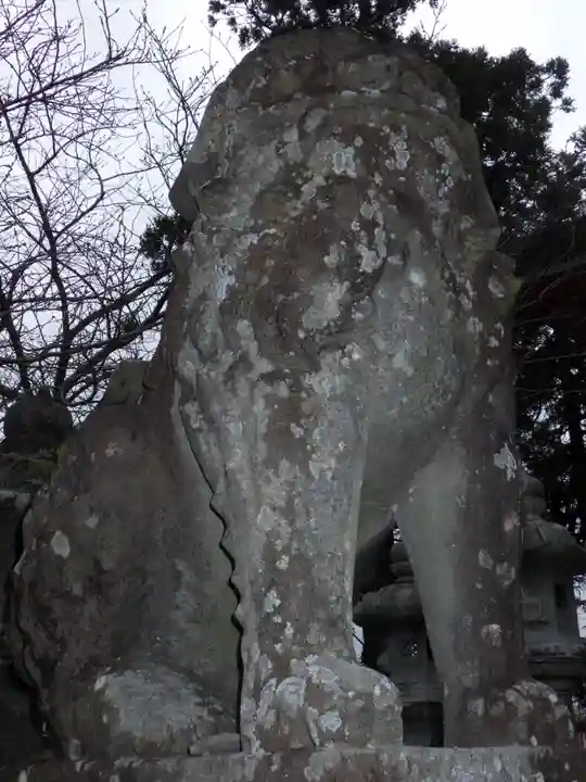 井上八幡神社の狛犬
