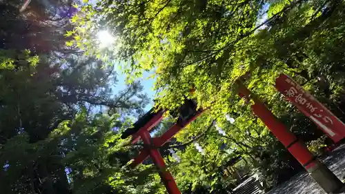 鍬山神社(京都府)