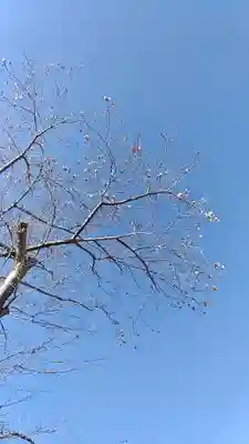 比佐豆知神社(三重県)