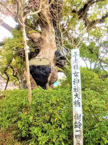 與止日女神社の自然