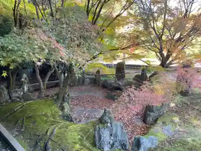 善能寺(京都府)