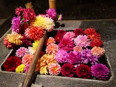 高司神社〜むすびの神の鎮まる社〜(福島県)