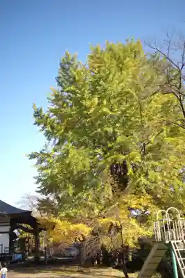 弘法山観世音の庭園