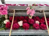 射水神社の{uncategorized: "未分類", other: "その他", undefined: "問題あり", building: "その他建物", grave: "お墓", sacred_gate: "鳥居", guardian: "狛犬", statue: "像", buddha: "仏像", history: "歴史", nature: "自然", garden: "庭園", animal: "動物", pagoda: "塔", temizu: "手水舎", mountain_gate: "山門・神門", sanctuary: "本殿・本堂", subordinate: "末社・摂社", art: "芸術", scenery: "景色", jizo: "地蔵", ema: "絵馬", goshuin: "御朱印", omikuji: "おみくじ", items: "授与品その他", amulet: "お守り", goshuincho: "御朱印帳", eats: "食事", festival: "お祭り", votive_dance: "神楽", shichigosan: "七五三参", wedding: "結婚式", experience: "体験その他", initially: "初詣", around: "周辺", anti_infection: "感染症対策"}