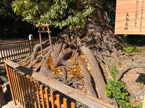 和泉國一之宮　大鳥大社の自然