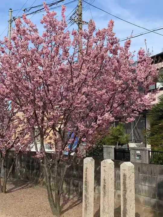 若宮神社の自然