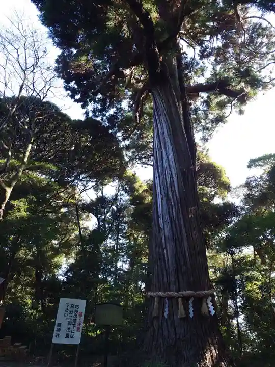 縣神社(千葉県)
