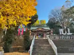 北澤八幡神社の本殿