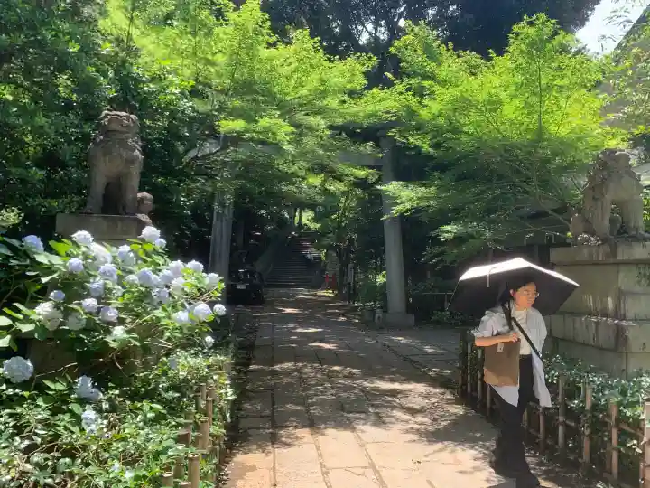 四合稲荷神社(東京都)