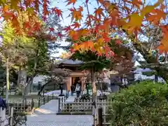 豪徳寺(東京都)