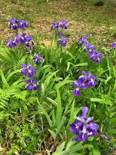 作楽神社(岡山県)