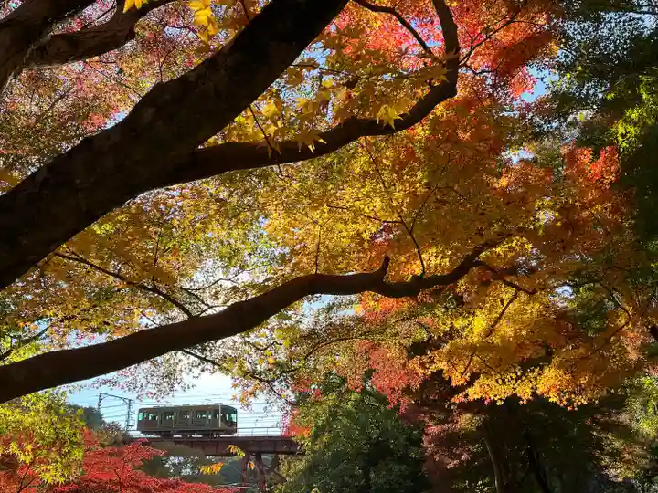 神應寺(京都府)