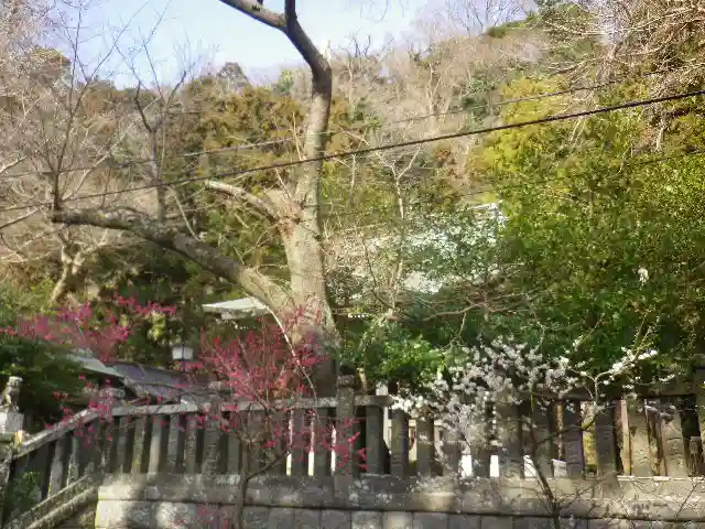 御霊神社のその他建物