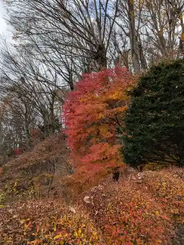 東円寺(山梨県)