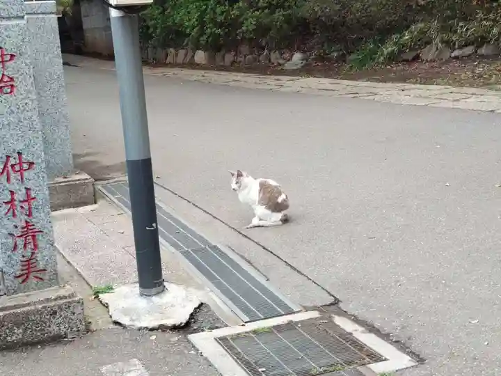 前原御嶽神社の動物