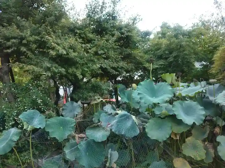 祥泉院(神奈川県)