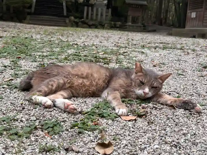 當麻山口神社(奈良県)