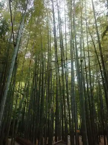 報国寺(神奈川県)