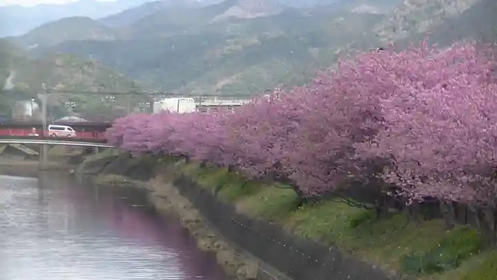 かっぱの寺 栖足寺の自然