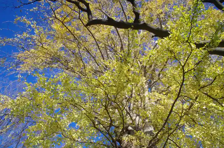 白滝不動尊の自然