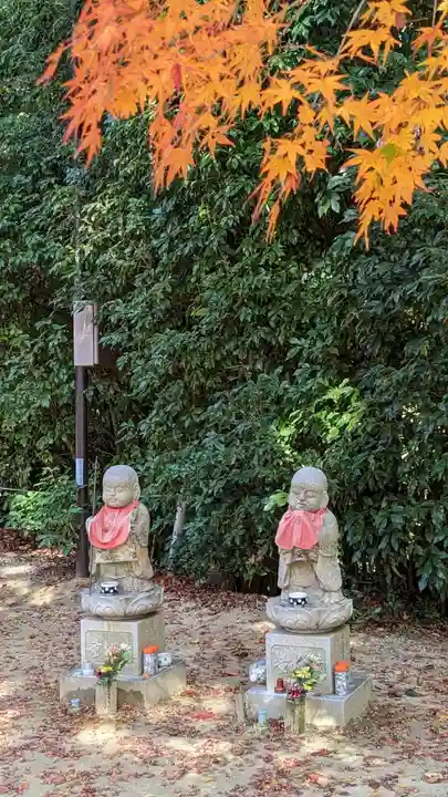 光明寺(粟生光明寺)(京都府)