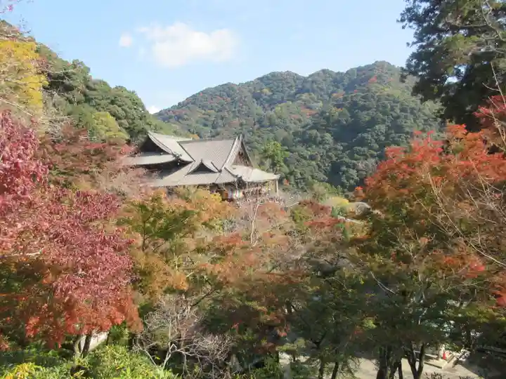 長谷寺(奈良県)