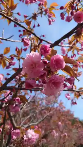 相馬神社(北海道)