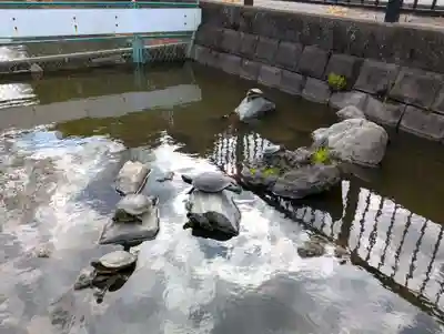 法華経寺(千葉県)