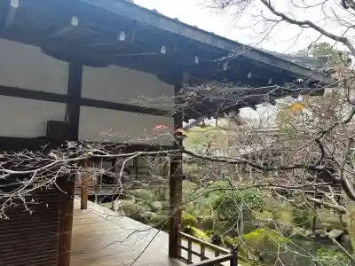 禅林寺（永観堂）(京都府)