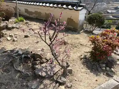 宝山寺(兵庫県)