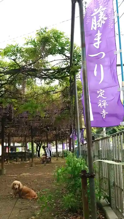 定禅寺の{uncategorized: "未分類", other: "その他", undefined: "問題あり", building: "その他建物", grave: "お墓", sacred_gate: "鳥居", guardian: "狛犬", statue: "像", buddha: "仏像", history: "歴史", nature: "自然", garden: "庭園", animal: "動物", pagoda: "塔", temizu: "手水舎", mountain_gate: "山門・神門", sanctuary: "本殿・本堂", subordinate: "末社・摂社", art: "芸術", scenery: "景色", jizo: "地蔵", ema: "絵馬", goshuin: "御朱印", omikuji: "おみくじ", items: "授与品その他", amulet: "お守り", goshuincho: "御朱印帳", eats: "食事", festival: "お祭り", votive_dance: "神楽", shichigosan: "七五三参", wedding: "結婚式", experience: "体験その他", initially: "初詣", around: "周辺", anti_infection: "感染症対策"}