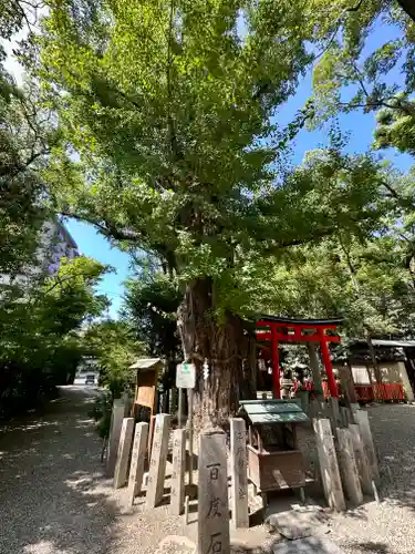 杭全神社(大阪府)