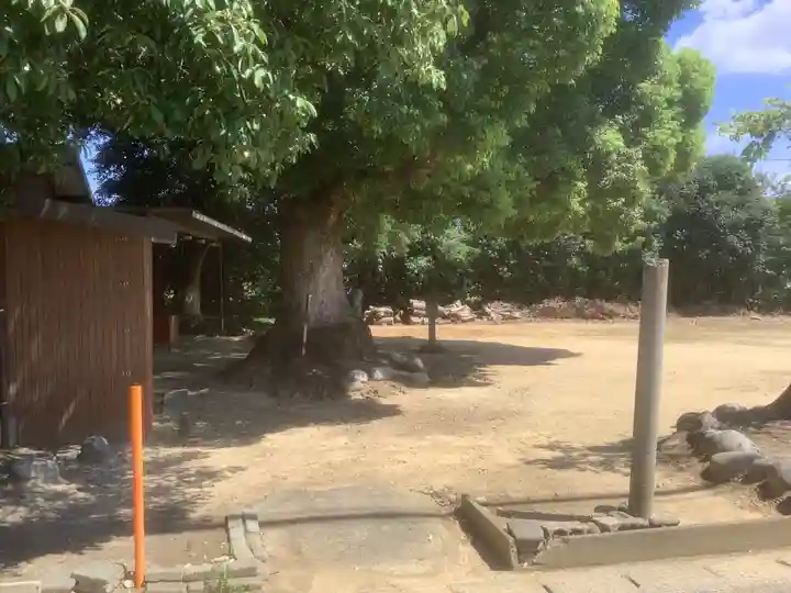 桃山八幡社の自然