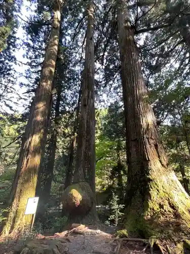 花園神社(茨城県)